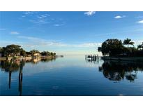 Peaceful waterfront view with calm water and luxurious homes at 1331 Brightwaters Ne Blvd, St Petersburg, FL 33704