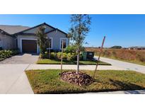 Single-story home with attached garage and landscaped front yard at 31422 Briars Ml, San Antonio, FL 33576