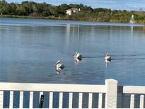 Three pelicans on a calm lake with fountain and lush greenery at 7123 Colonial Lake Dr, Riverview, FL 33578