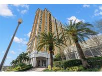 Luxury high-rise building with palm trees and city views at 345 Bayshore Blvd # 308, Tampa, FL 33606