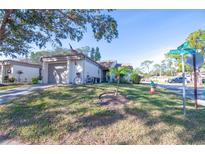 Cute bungalow with a manicured lawn, garage, and charming bicycle at 3207 Green Dolphin St, Tarpon Springs, FL 34689