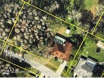 House with surrounding land and trees, located on Bramblewood Boulevard at 3754 Bramblewood Blvd, Land O Lakes, FL 34639