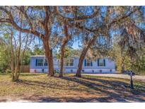 Light blue manufactured home with mature landscaping and a spacious yard at 9615 Xenia St, New Port Richey, FL 34654