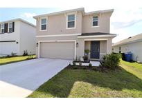 Two-story house with attached garage and landscaped front yard at 12113 Water Ash Pl, Riverview, FL 33569