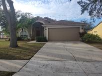 Tan one-story house with a two-car garage and manicured lawn at 1638 Sand Hollow Ln, Valrico, FL 33594