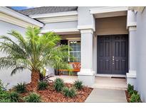 Well-maintained house with gray exterior, palm tree, and double front doors at 15304 Serengeti Blvd, Spring Hill, FL 34610