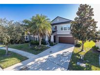 Two-story house with a brown garage door and palm trees at 19218 Alexandrea Lee Ct, Land O Lakes, FL 34638