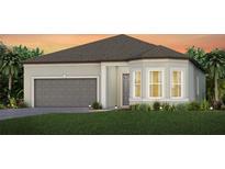 Single-story home with gray garage door and landscaping at 11216 Shoreline Trl, Parrish, FL 34219