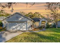 Charming single-story home with a two-car garage and well-manicured lawn at 6918 Potomac Cir, Riverview, FL 33578