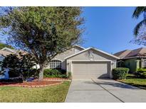 Tan house with a two-car garage and well-manicured lawn at 3152 Banyan Hill Ln, Land O Lakes, FL 34639