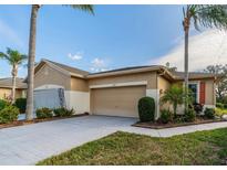 Tan single-Gathering home with attached garage, landscaping, and paved driveway at 2003 Acadia Greens Dr, Sun City Center, FL 33573