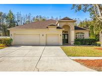 Tan house with three-car garage, lush landscaping, and a charming front entrance at 18214 Stillwell Ln, Tampa, FL 33647