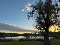 Peaceful lakefront property with scenic sunset views at 3922 Lake Joyce Dr, Land O Lakes, FL 34639
