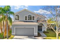 Two-story house with gray siding, a gray garage door, and palm trees at 11834 Lark Song Loop, Riverview, FL 33579