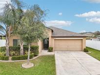 Tan house with a two-car garage, landscaping, and palm trees at 2964 Moulden Hollow Dr, Zephyrhills, FL 33540