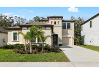 Two-story house with landscaping and driveway at 14672 Horse Trot Rd, Lithia, FL 33547