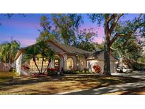 Well-maintained house with landscaped lawn, large trees, and a two-car garage at 1529 Rolling Meadow Dr, Valrico, FL 33594