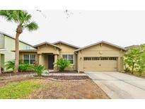 Tan house with two-car garage, landscaping, and palm trees at 3851 Evergreen Oaks Dr, Lutz, FL 33558
