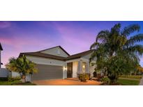 Two-story house with gray siding, brown roof, and palm trees at 13637 Ashlar Slate Pl, Riverview, FL 33579