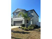 Two-story house with gray siding, two-car garage, and palm tree at 13621 Willow Bluestar Loop, Riverview, FL 33579