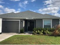 Gray house with gray roof, white windows, and landscaping at 6548 Castle Green Pl, Zephyrhills, FL 33541