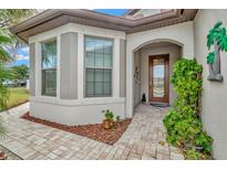 Inviting front entry with a decorative door and a paved walkway at 16340 Treasure Point Dr, Wimauma, FL 33598