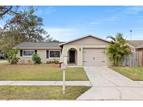 Well-maintained house with a landscaped lawn and attached garage at 4235 Chipmunk Dr, New Port Richey, FL 34653