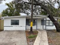 Ranch style home with gray and white exterior, walkway, and landscaping at 10103 N Lantana Ave, Tampa, FL 33612