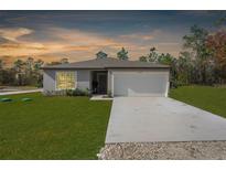 Single-story house with a garage and a well-maintained lawn at 14467 Hawk Rd, Brooksville, FL 34614