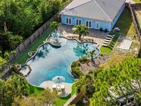 An aerial view of a private backyard featuring a large, freeform pool, lounging areas, and tropical landscaping at 7701 40Th N Ter, St Petersburg, FL 33709