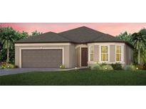 Single-story home with brown roof and garage at 9413 Barnacle Ln, Parrish, FL 34219