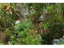 Overgrown lot with mature trees and dense vegetation at 419 64Th S Ave, St Petersburg, FL 33705