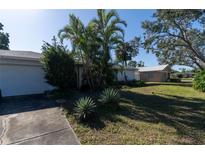 Ranch style home with a spacious front yard, mature palm trees, and a paved driveway at 2664 61St S Ave, St Petersburg, FL 33712