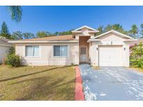 Cute one-story house with a two-car garage and well-maintained lawn at 13508 Prestwick Dr, Riverview, FL 33579