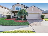 Two-story house with a large yard, palm tree, and brick driveway at 30868 Kelmin Ter, Wesley Chapel, FL 33543