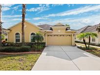 Beautiful single-story home with a two-car garage and well-manicured landscaping at 20716 Amanda Oak Ct, Land O Lakes, FL 34638