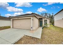 Beige house with a two-car garage and a small front yard at 30618 Birdhouse Dr, Wesley Chapel, FL 33545