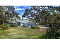 Single-story home with light blue exterior, landscaping, and a large yard at 3306 Timberlee Rd, Wimauma, FL 33598