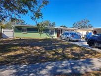 Ranch-style home with green exterior, driveway, and small yard at 6012 N Olive Ave, Tampa, FL 33614