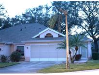 Exterior view of a single-story house with a two-car garage and landscaping at 2320 Marksmen Ct # 205, Sun City Center, FL 33573
