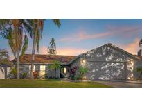 Attractive single-story home with landscaped yard and two-car garage at 6709 Ranger Dr, Tampa, FL 33615