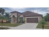 Two-story house with a brown roof, attached garage, and well-manicured lawn at 10126 Londonshire Ln, Tampa, FL 33647