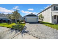 Two-story house with gray exterior and a paved driveway at 34104 White Fountain Ct, Wesley Chapel, FL 33545