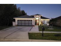 Inviting house exterior featuring a well-manicured lawn and a two-car garage at 11738 Brenford Crest Dr, Riverview, FL 33579