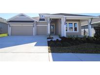 Two-story house with three-car garage, light beige exterior, and landscaping at 6123 Hidden Branch Dr, Apollo Beach, FL 33572