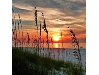 Stunning sunset view over the ocean, with beach grass in the foreground at 6650 Sunset Way # 210, St Pete Beach, FL 33706