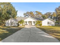 White house with long driveway, palm trees, and green lawn at 31445 Amberlea Rd, Dade City, FL 33523