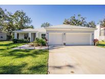 White single story house with 2 car garage and manicured lawn at 8510 Dee Cir, Riverview, FL 33569