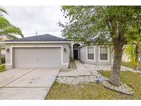 Gray house with a two-car garage and well-maintained landscaping at 8202 Carriage Pointe Dr, Gibsonton, FL 33534