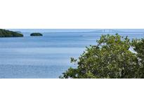 Stunning water view with bridge and lush landscape at 1515 Pinellas Bayway S # 70, Tierra Verde, FL 33715